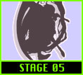 stage05
